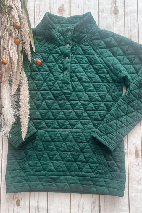 Blackish Green Plus Size Quarter Buttoned Pocketed Quilted Sweatshirt