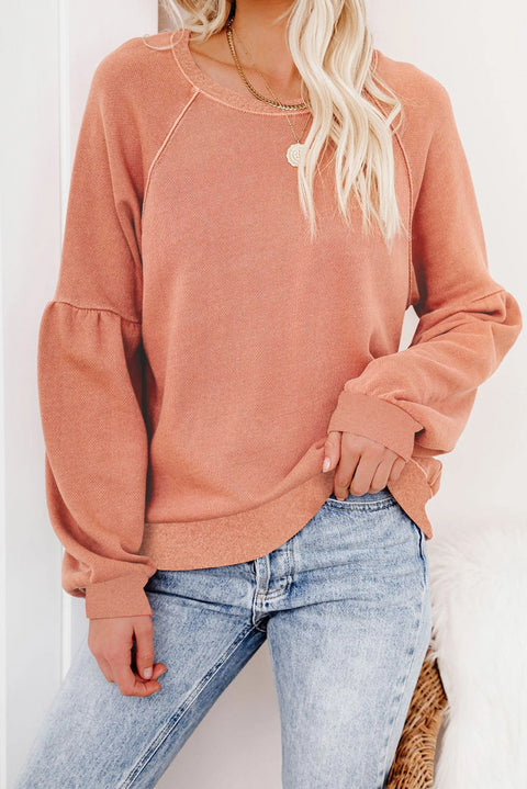 Raglan Patchwork Sleeve Pullover Sweatshirt