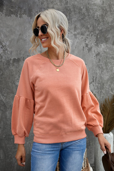 Raglan Patchwork Sleeve Pullover Sweatshirt