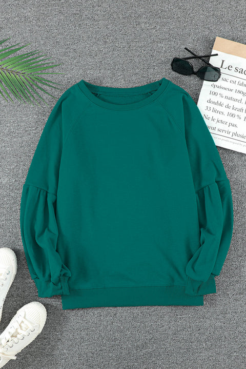 Raglan Patchwork Sleeve Pullover Sweatshirt