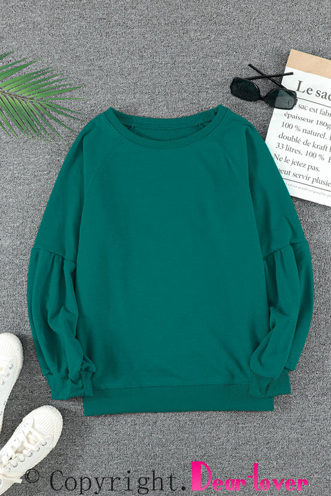 Raglan Patchwork Sleeve Pullover Sweatshirt