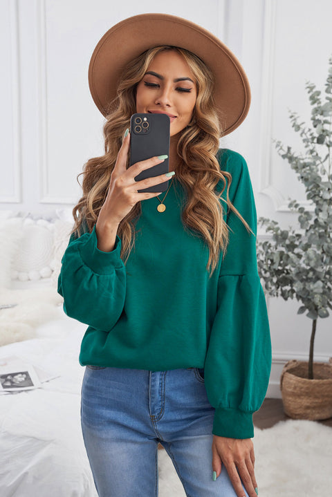 Raglan Patchwork Sleeve Pullover Sweatshirt