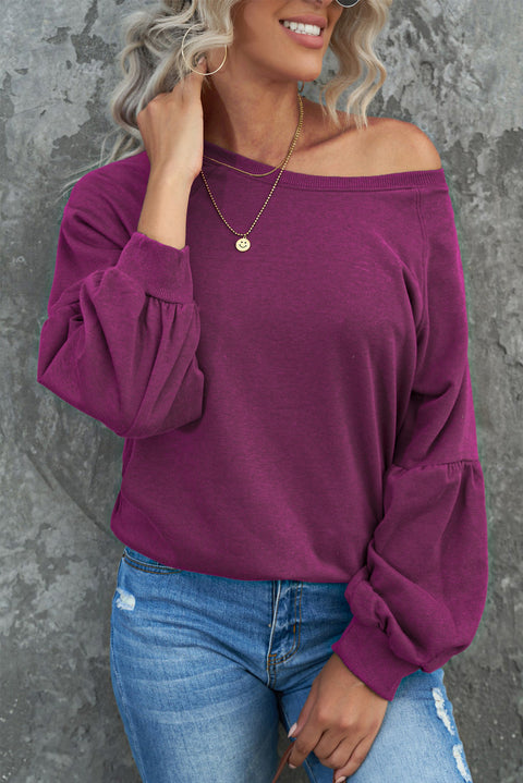 Raglan Patchwork Sleeve Pullover Sweatshirt