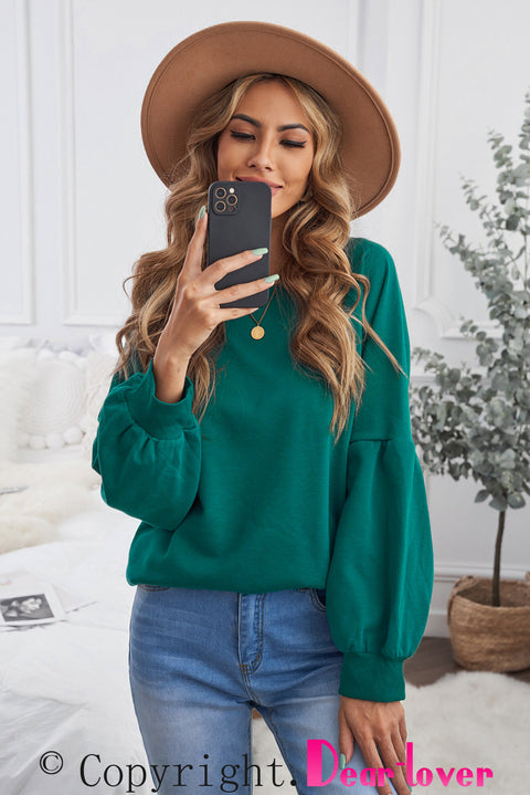 Raglan Patchwork Sleeve Pullover Sweatshirt