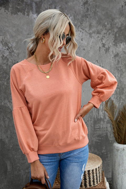 Raglan Patchwork Sleeve Pullover Sweatshirt