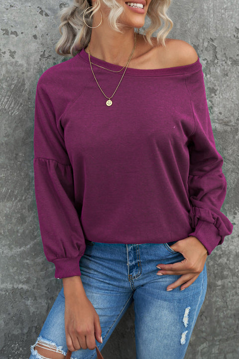 Raglan Patchwork Sleeve Pullover Sweatshirt