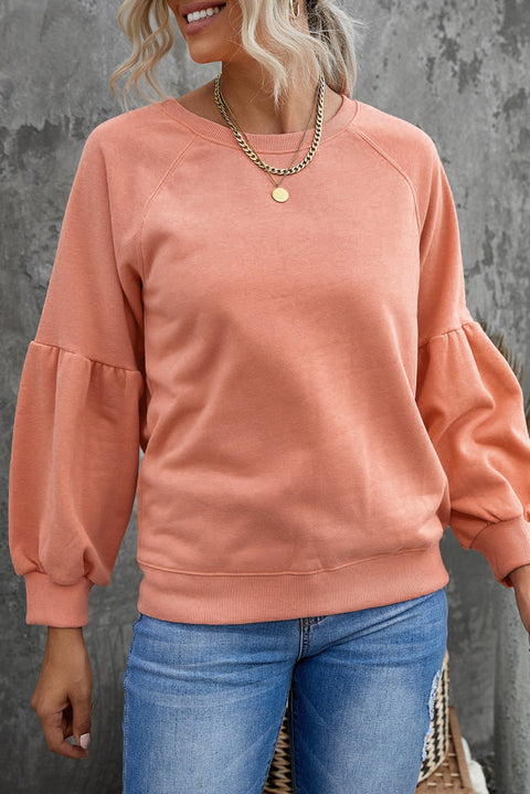 Raglan Patchwork Sleeve Pullover Sweatshirt