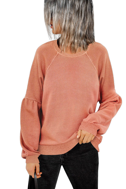 Raglan Patchwork Sleeve Pullover Sweatshirt