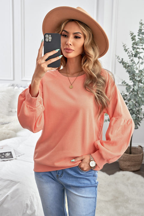 Raglan Patchwork Sleeve Pullover Sweatshirt